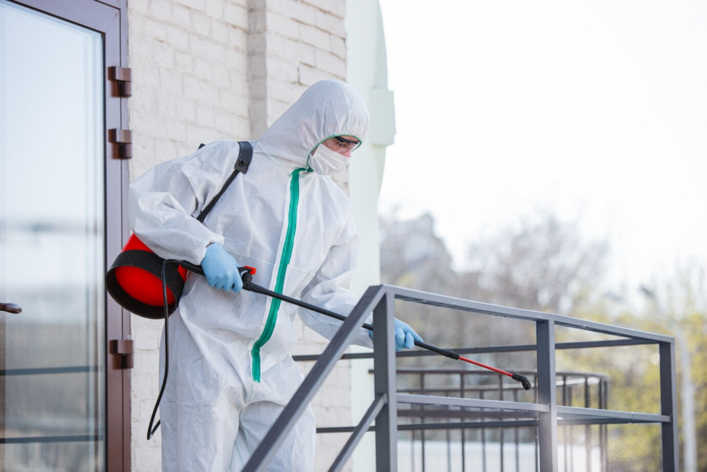 best pest control virginia beach