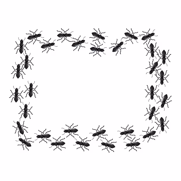 carpenter ant colony