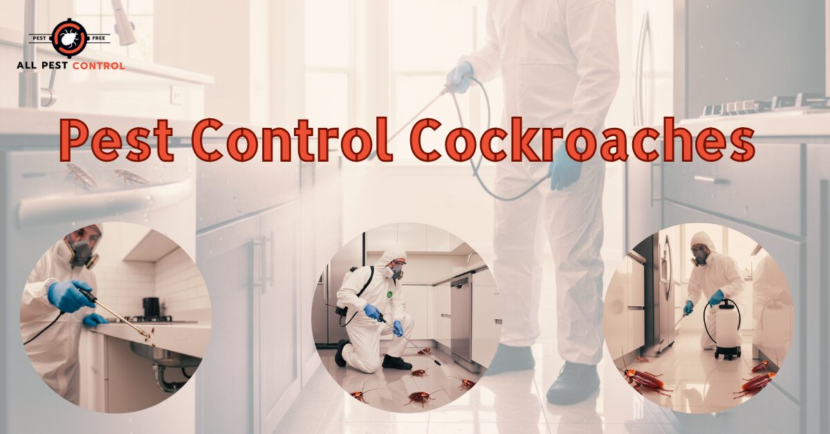 Pest Control Services for Cockroaches